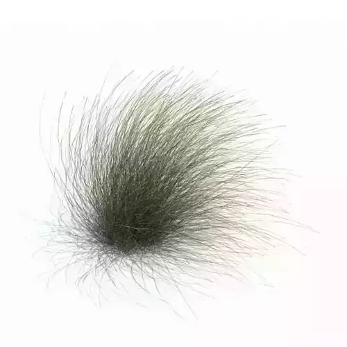 Long Grass 3D model