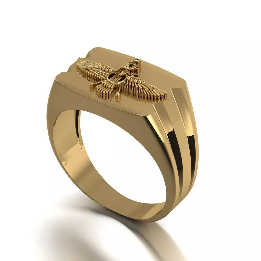 Ringfarvahar 3D print model_0