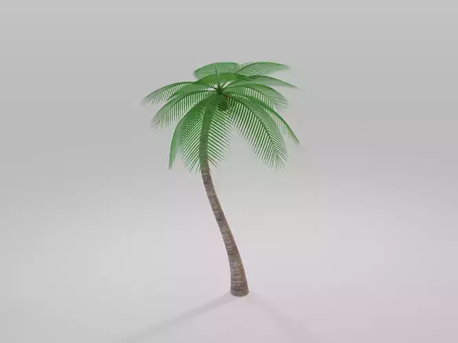 Coconut tree Model
