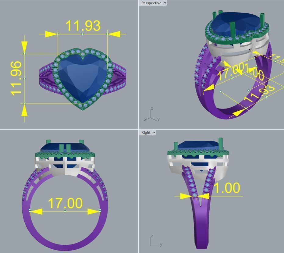 Ring 43 3D print model_2
