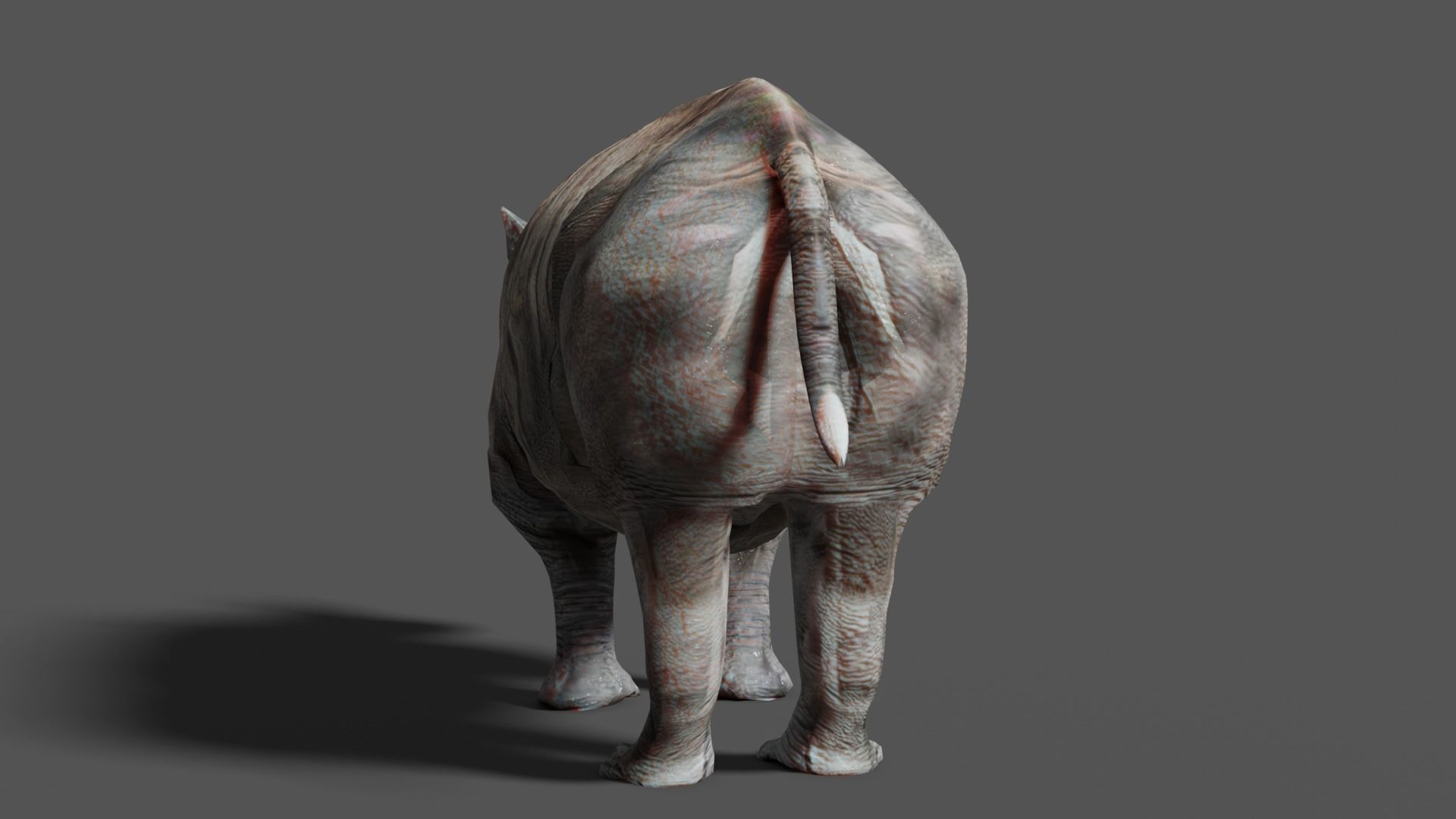 RHINOCEROS Low-poly 3D model_15