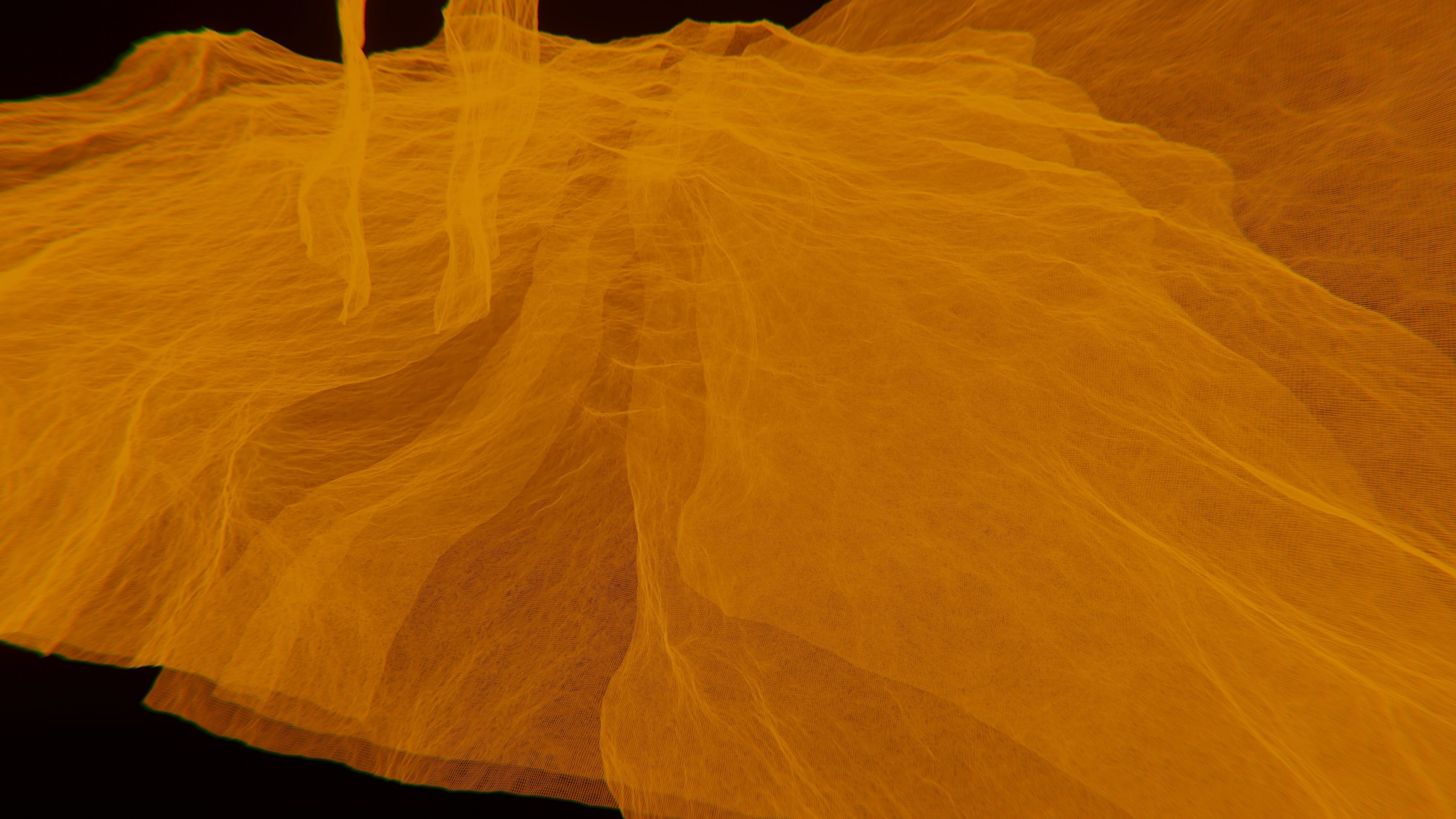 Wireframe 3D mesh  3D model_4