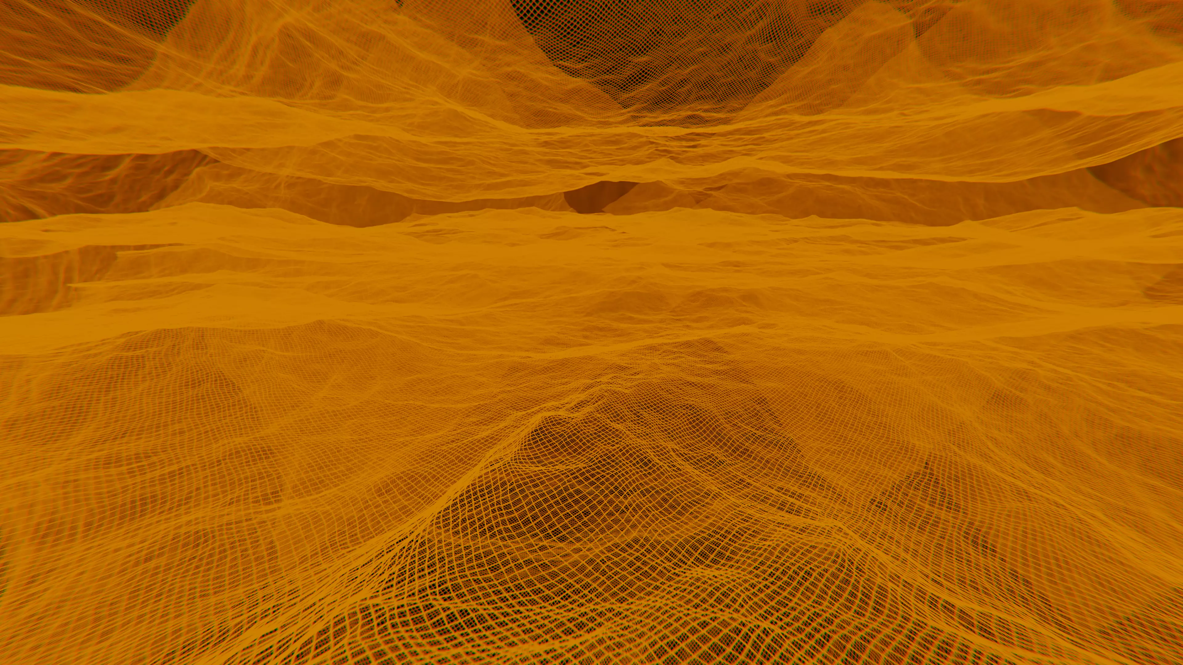 Wireframe 3D mesh  3D model_0