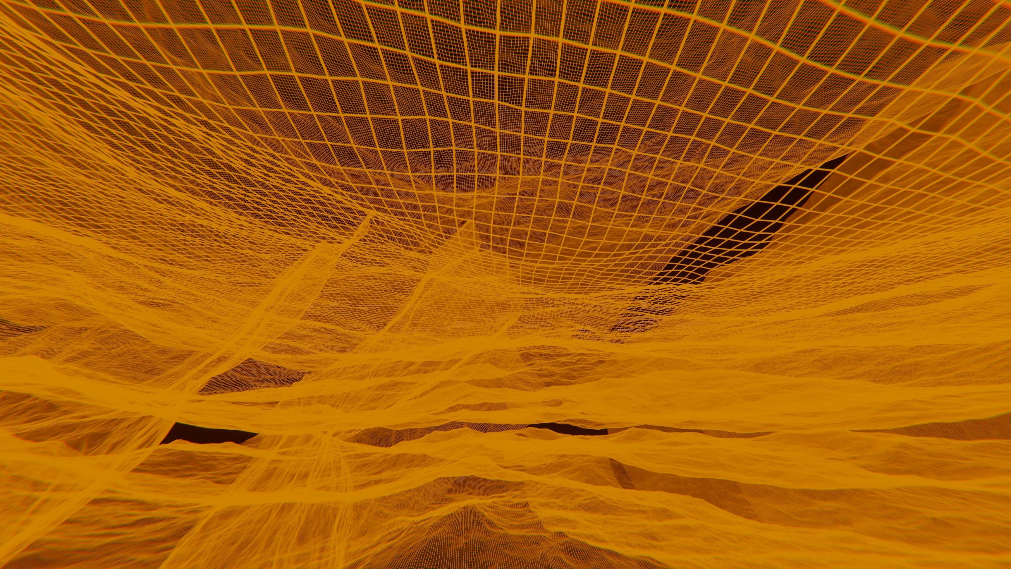 Wireframe 3D mesh  3D model_5