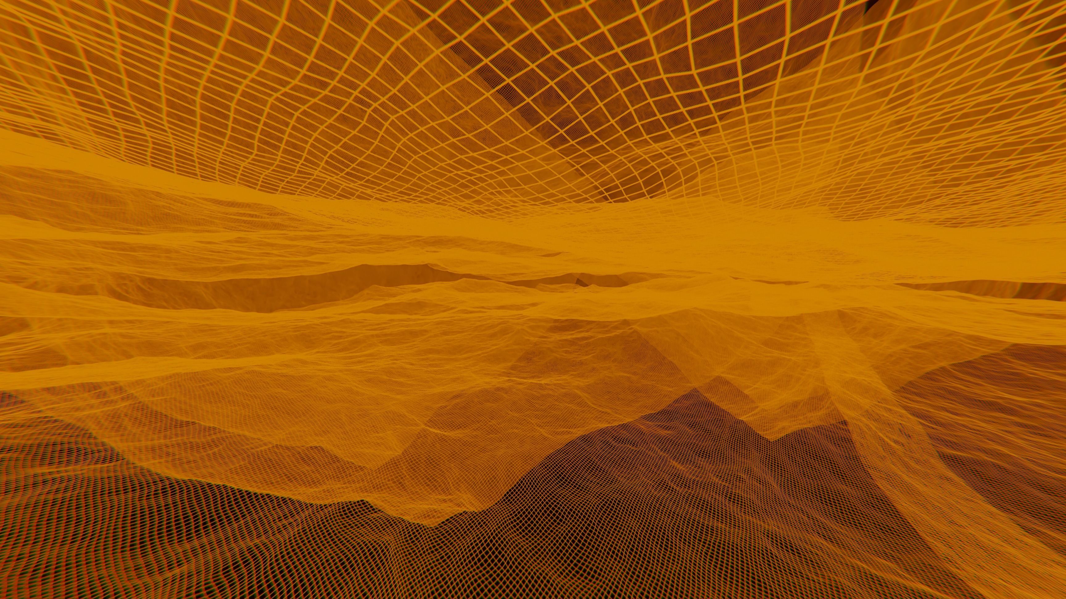 Wireframe 3D mesh  3D model_3