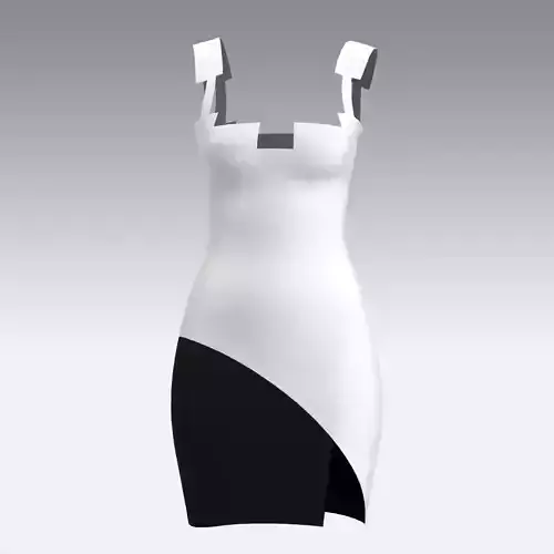 DRESS  BLACK AND WHITE LOOK MODERN