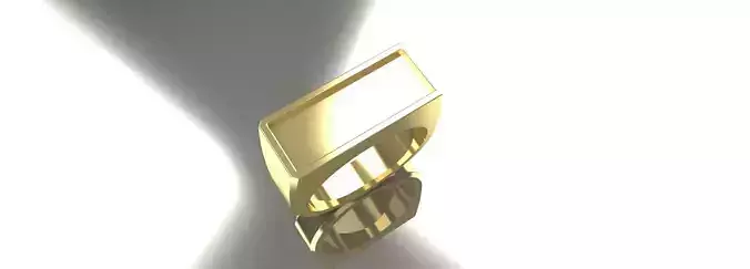 Mens Ring Rectangular Size 11 Gold Silver Platinum Jewelry