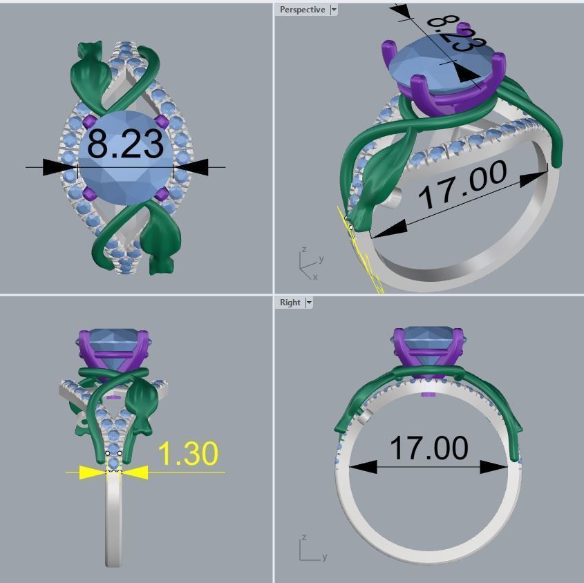 Ring 45 3D print model_2