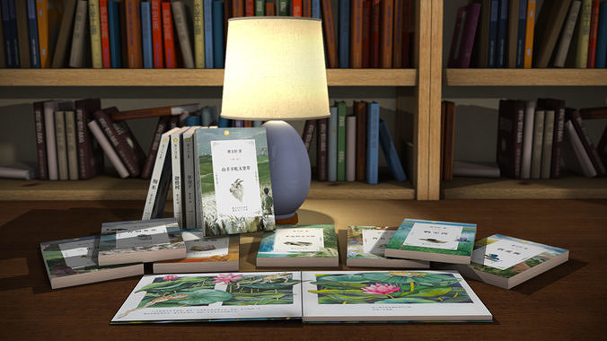 Unconventionally book shelf desk lamp 3D model