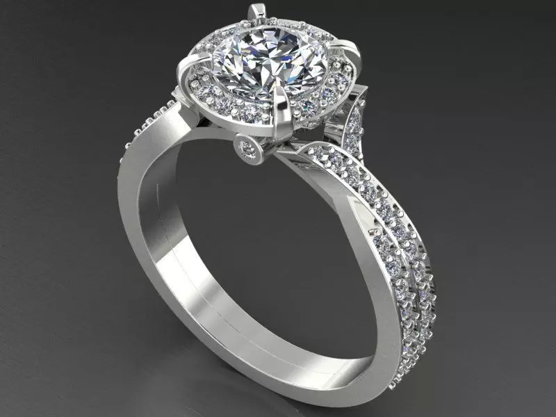 Ring 47 3D print model_0