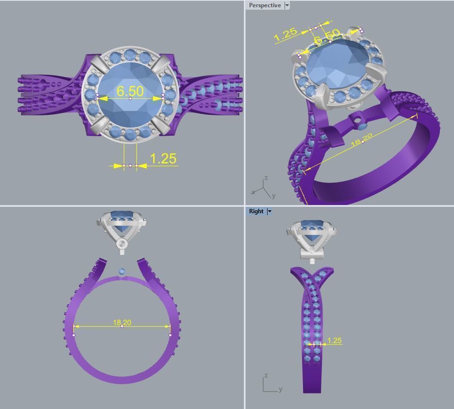 Ring 47 3D print model_2