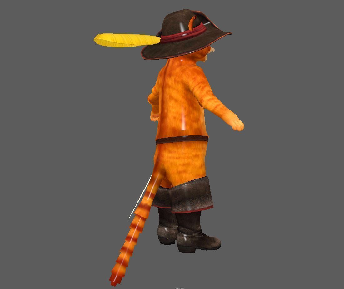 puss lowpoly model pirate cat Low-poly 3D model_4
