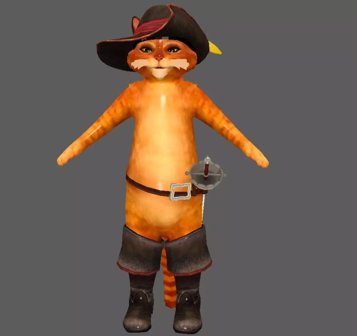 puss lowpoly model pirate cat Low-poly 3D model_0