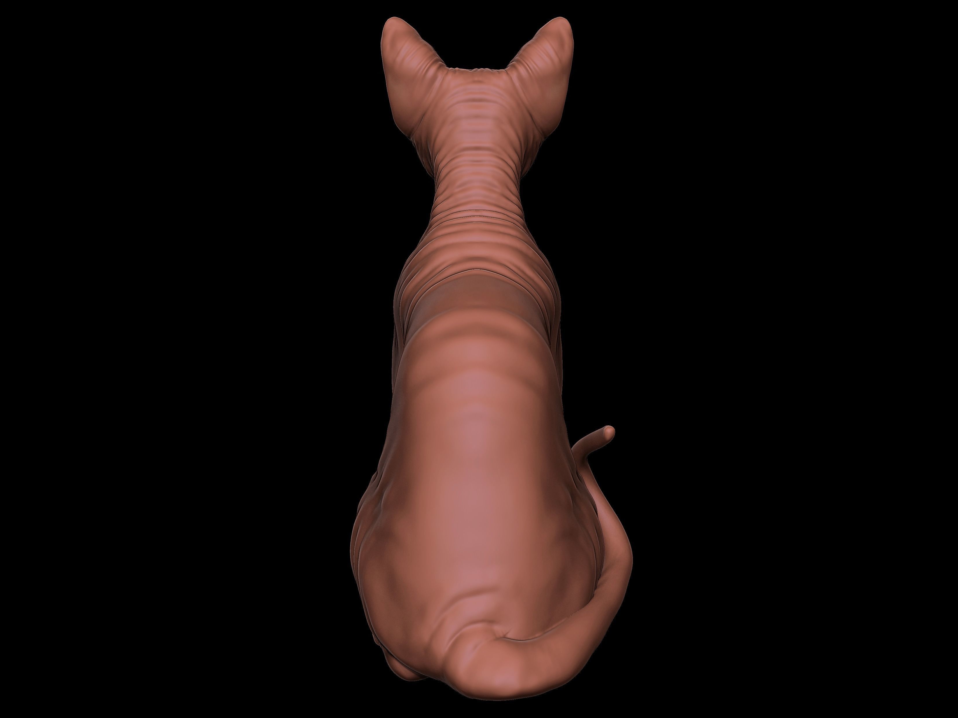 Sphynx Cat 3D Print model Full Body 3D print model_4