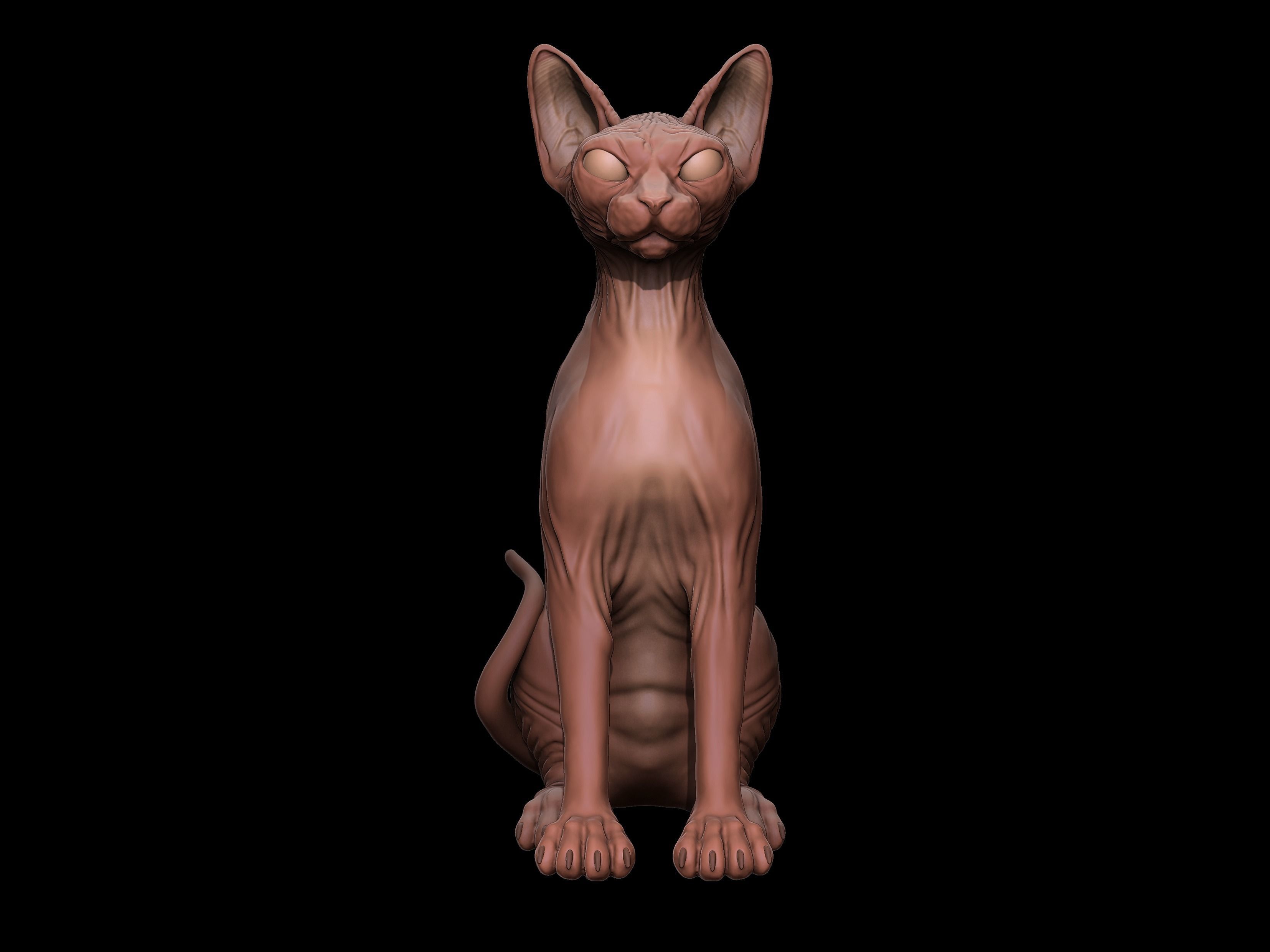 Sphynx Cat 3D Print model Full Body 3D print model_2