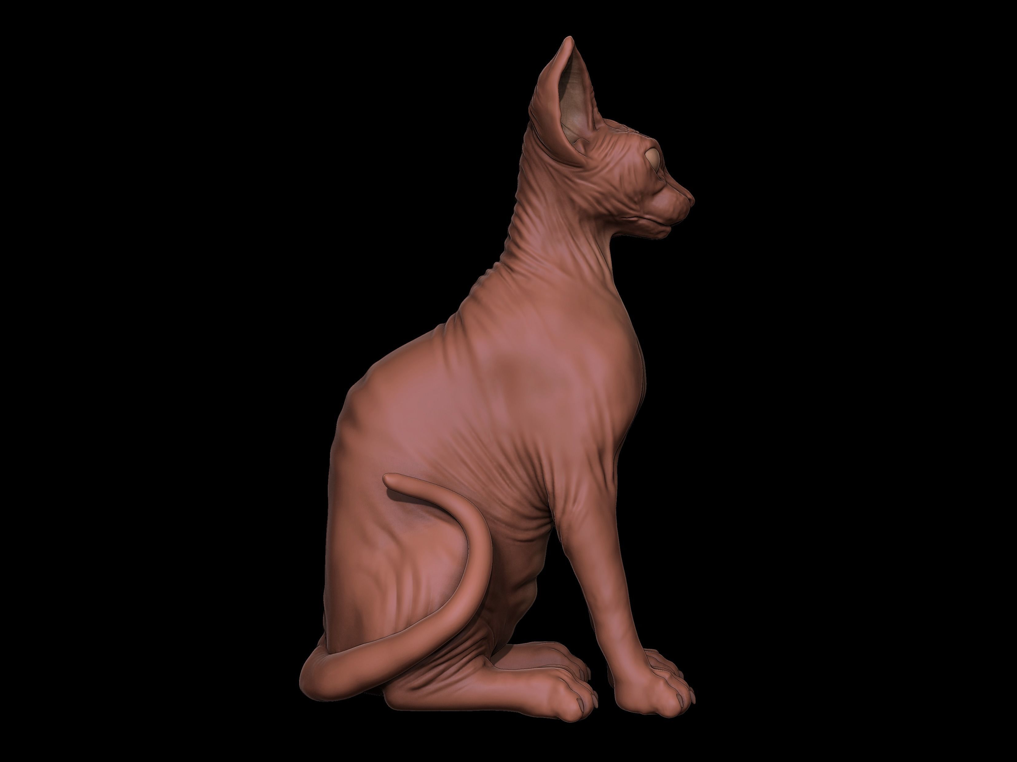 Sphynx Cat 3D Print model Full Body 3D print model_3