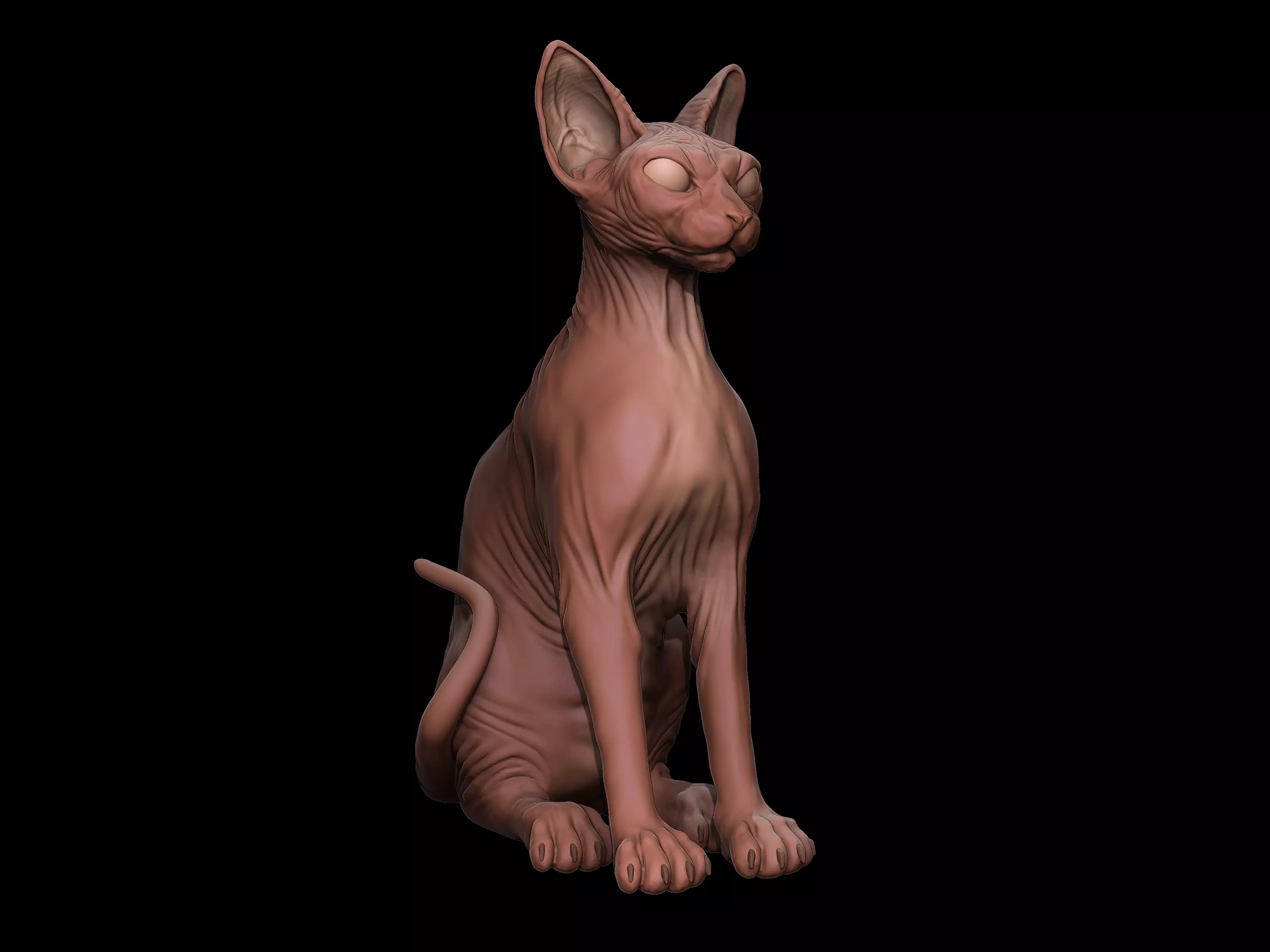 Sphynx Cat 3D Print model Full Body 3D print model_0