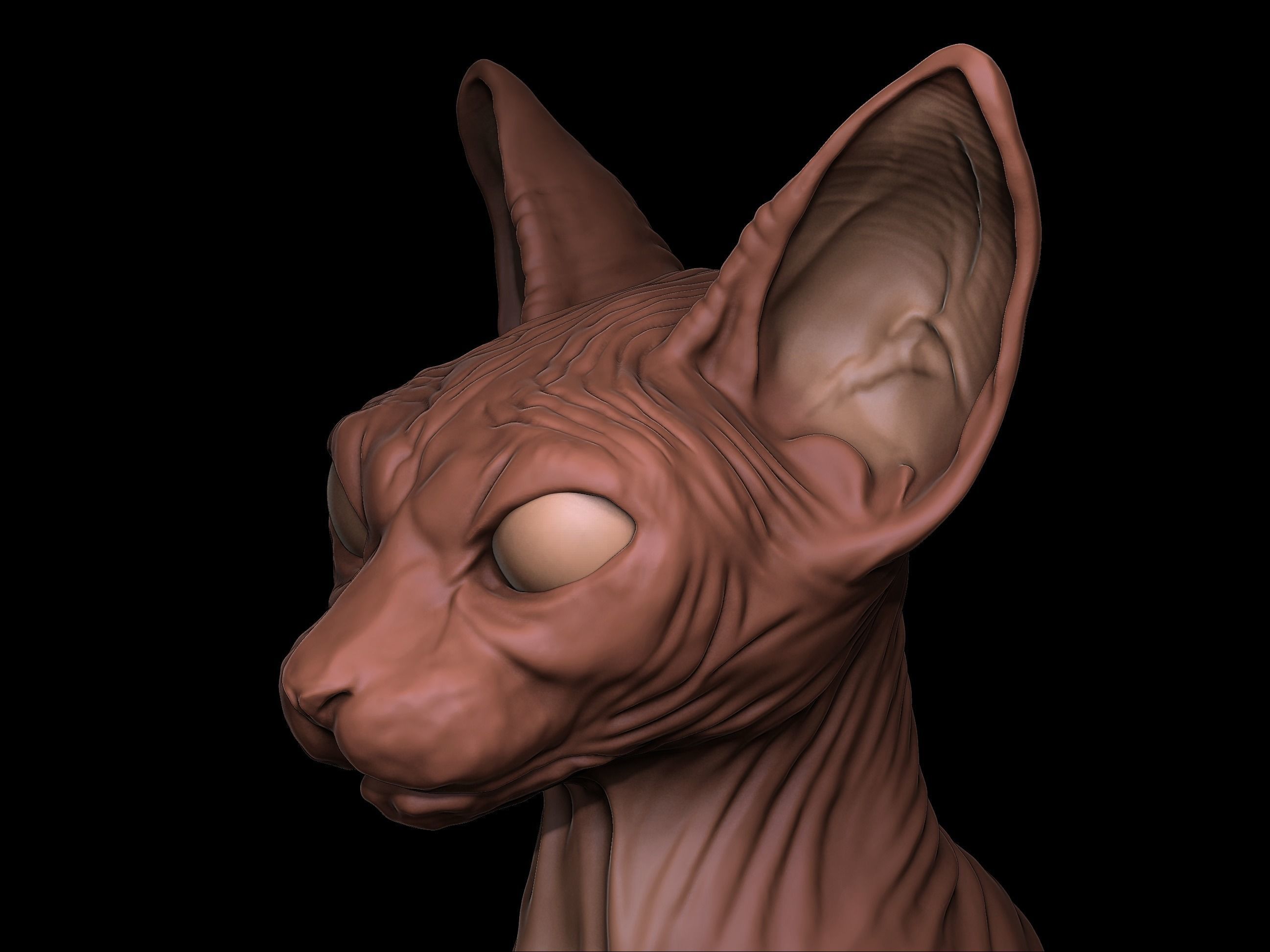 Sphynx Cat 3D Print model Full Body 3D print model_1