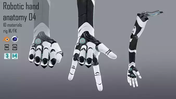 Robotic hand anatomy 04 Low-poly 3D model