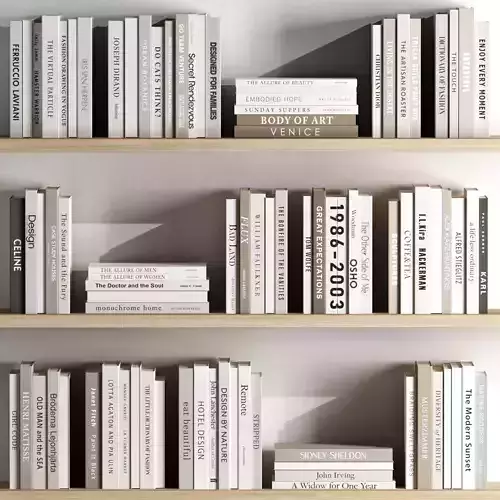 Set of books in beige 3D model