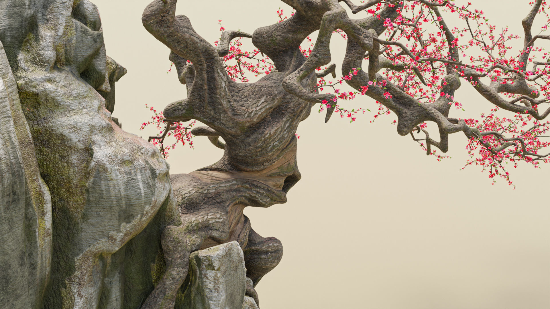 Old Peach Blossom Tree 3D model_9