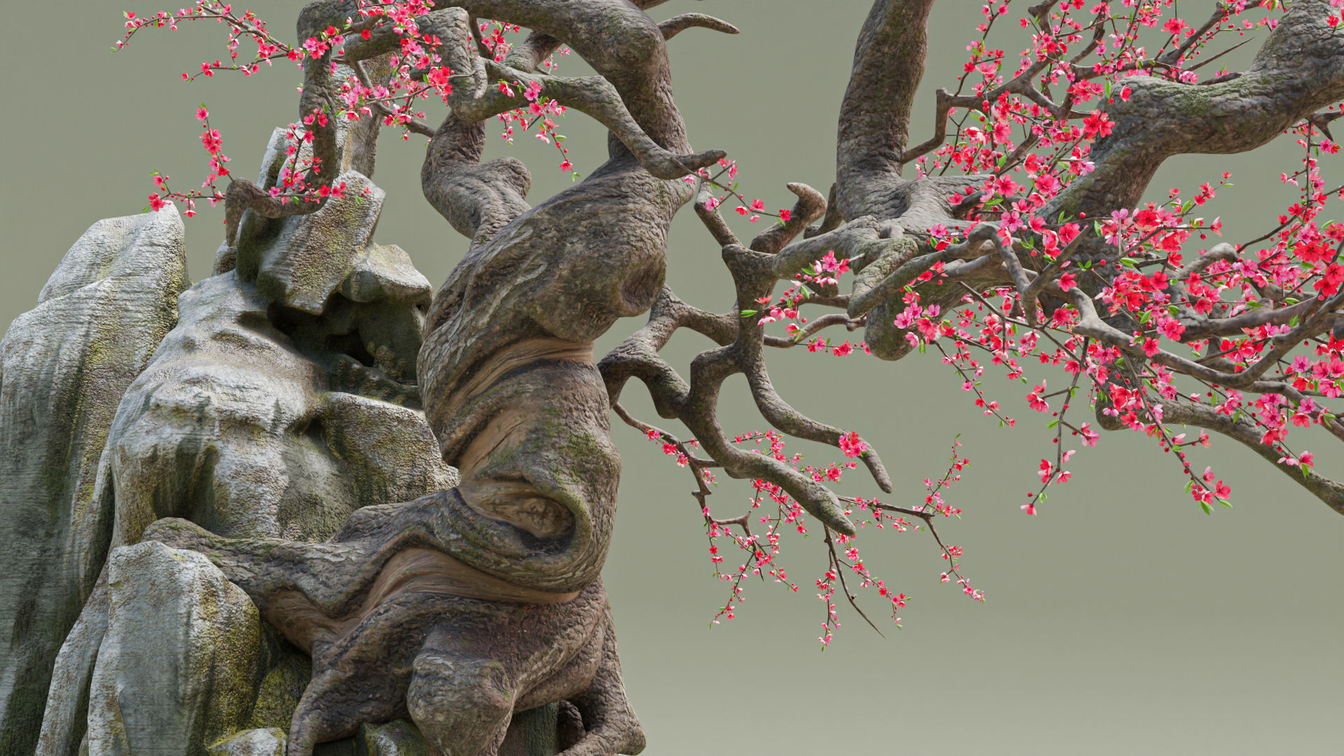 Old Peach Blossom Tree 3D model_8