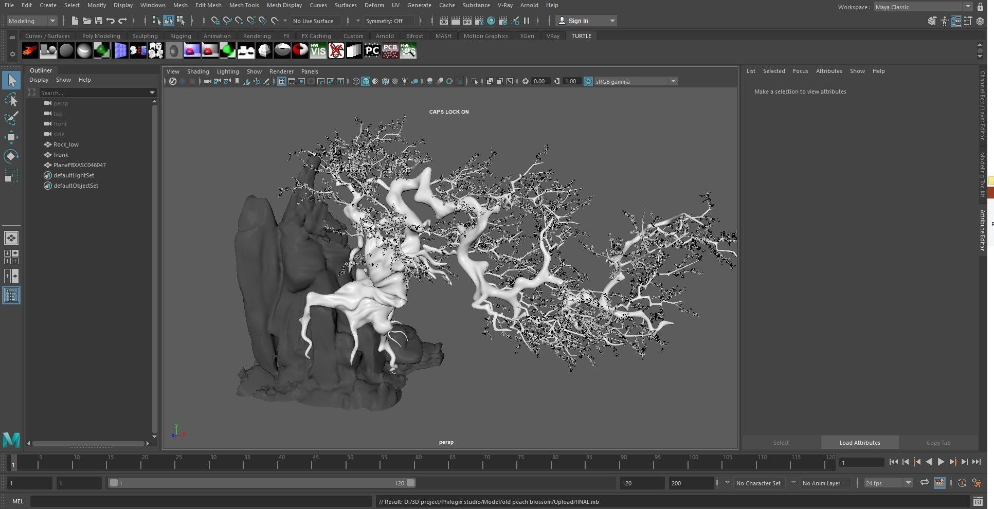 Old Peach Blossom Tree 3D model_16