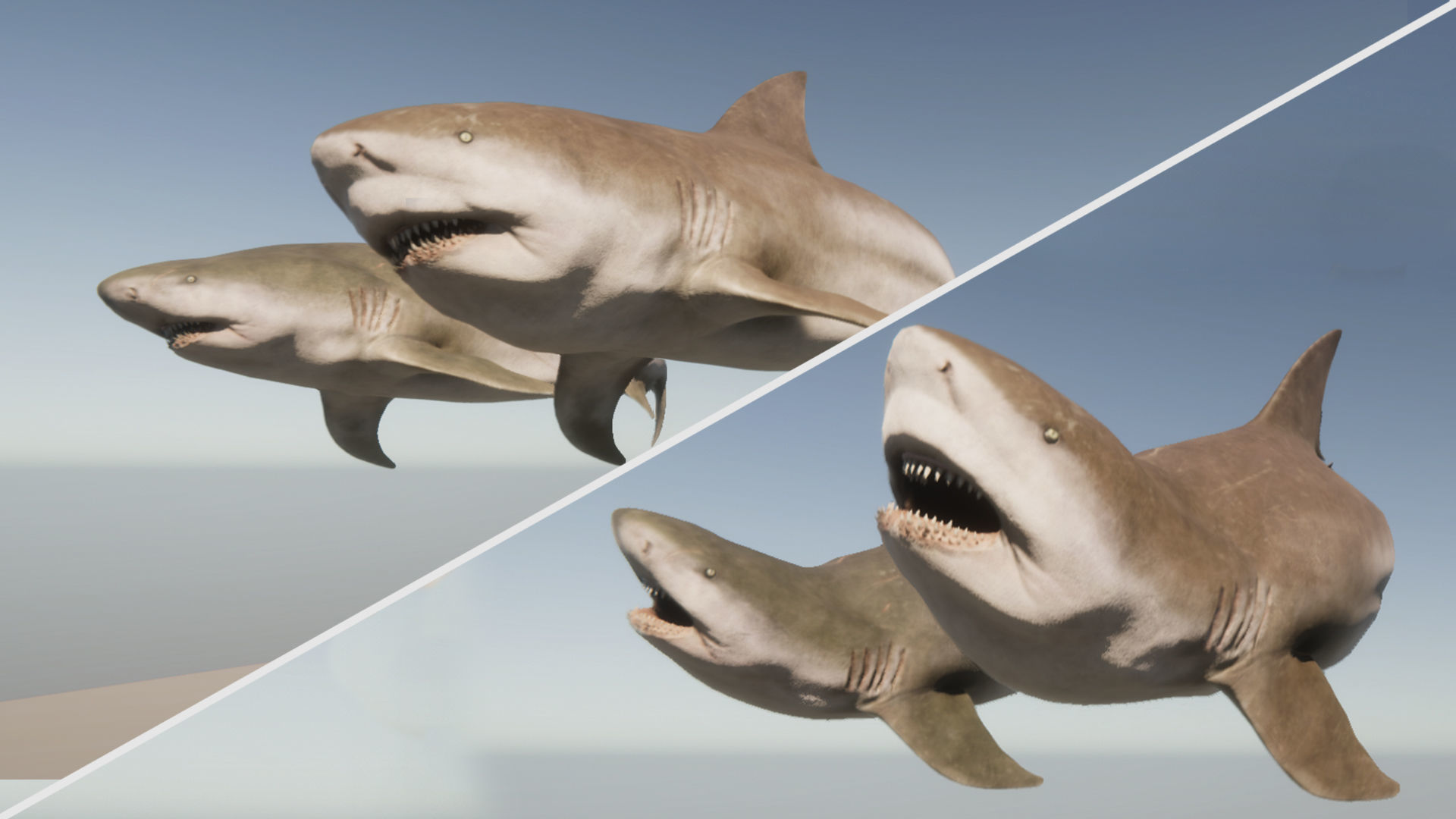 Bull Sharks Low-poly 3D model_15