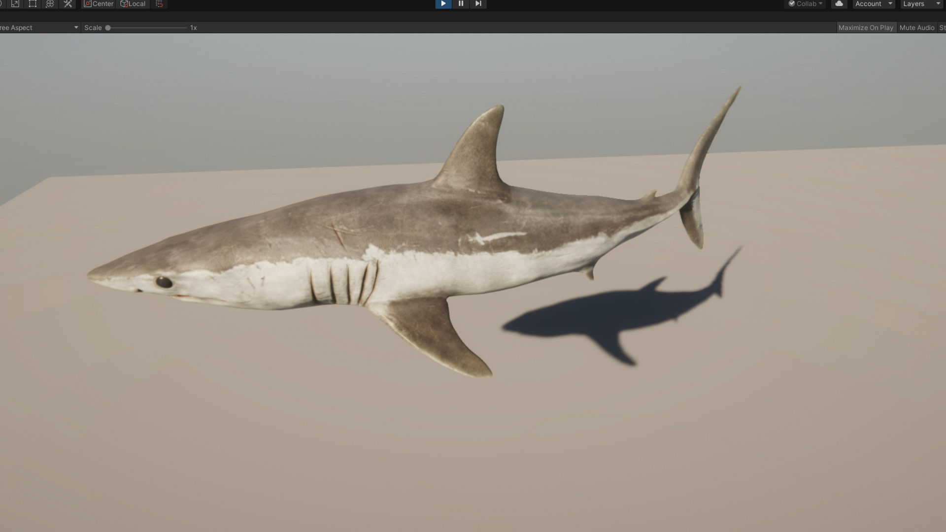 Mako Shark Low-poly 3D model_15