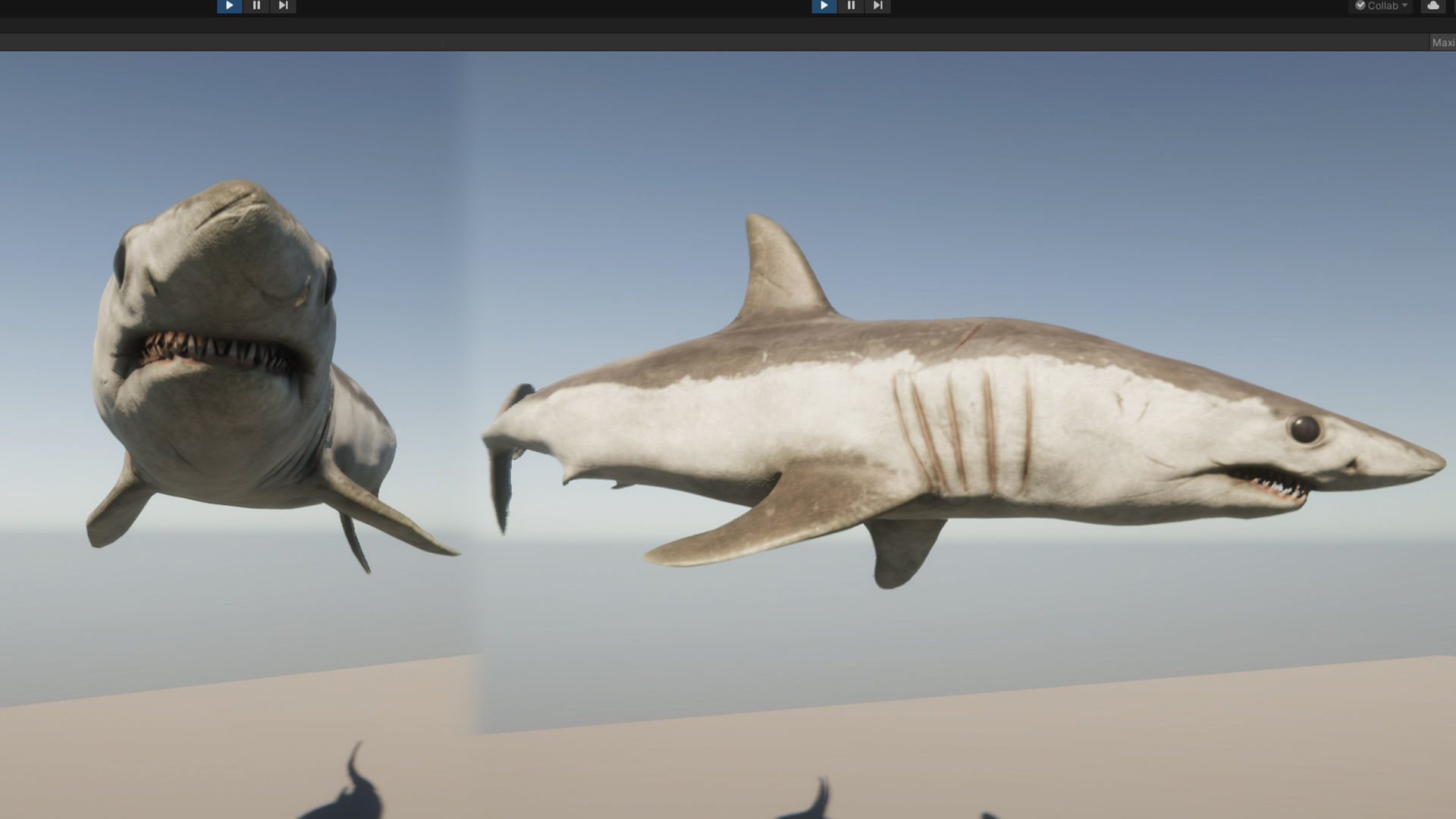 Mako Shark Low-poly 3D model_19