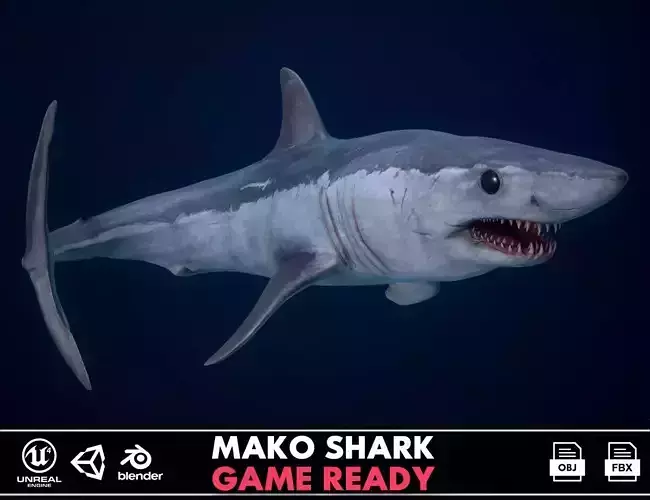 Mako Shark Low-poly 3D model