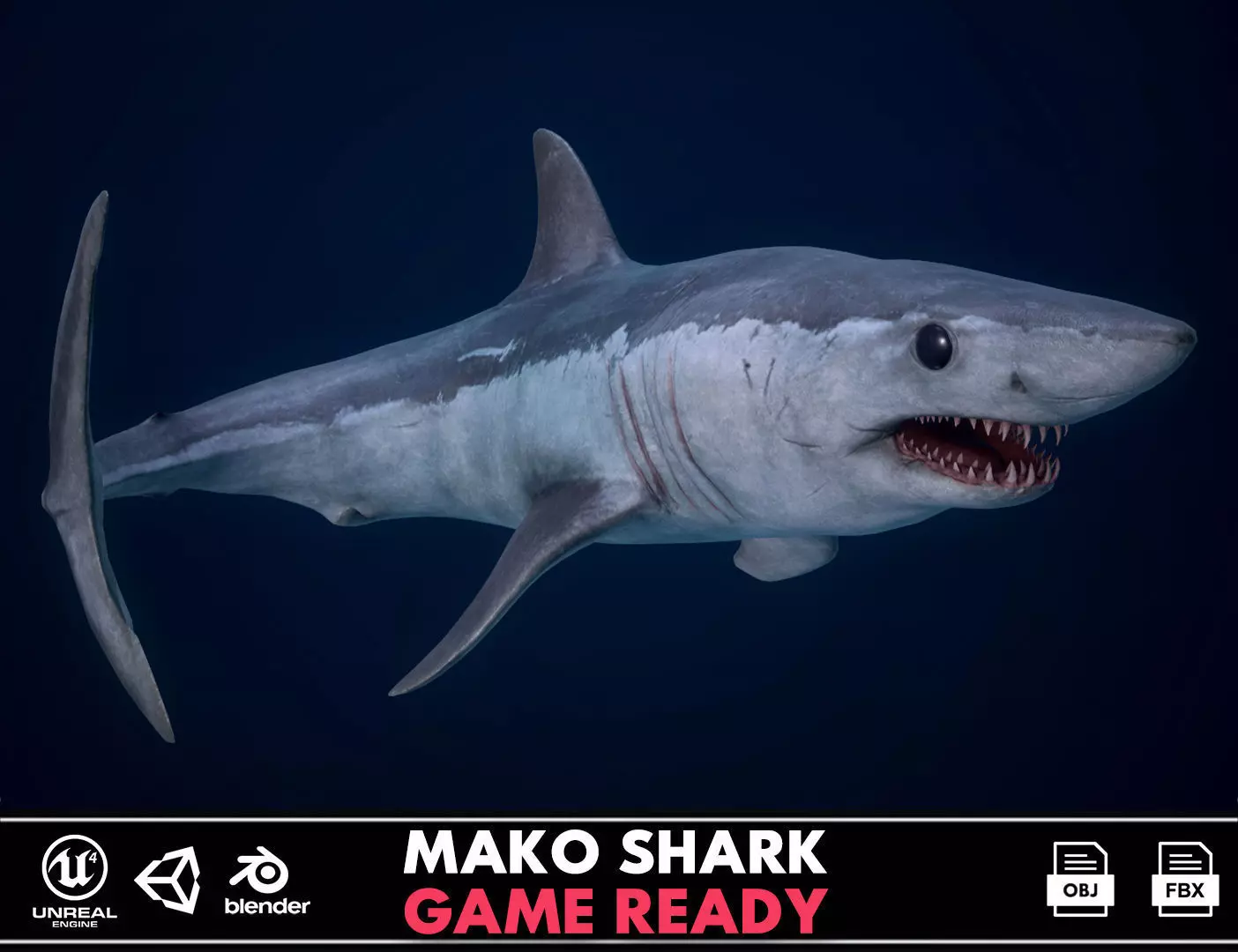 Mako Shark Low-poly 3D model_0