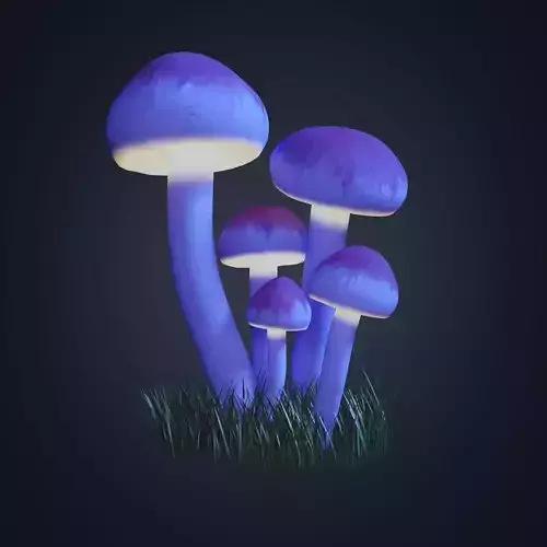 Magic mushrooms