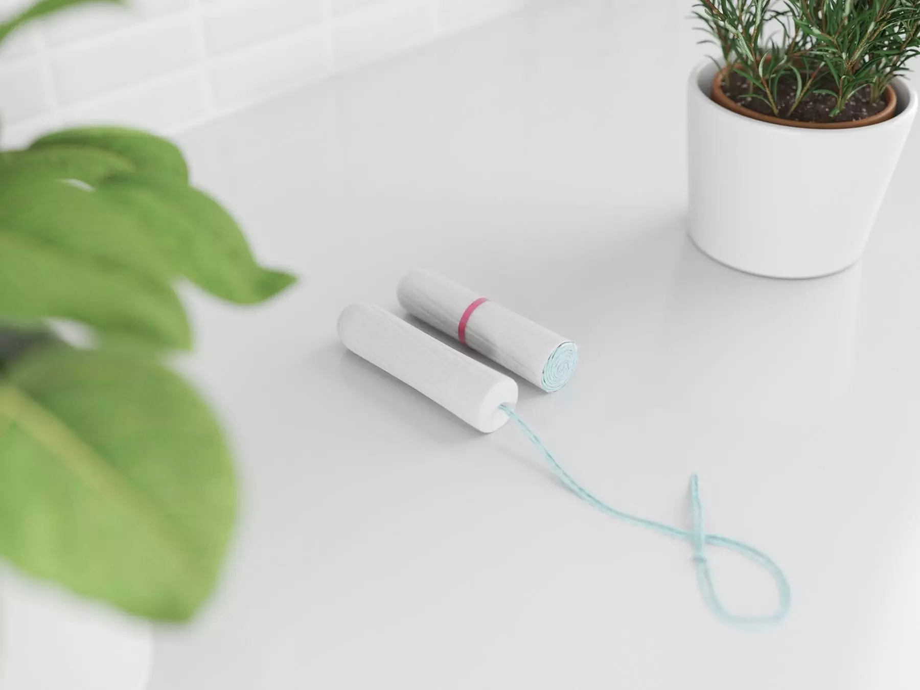 tampon female standard 3D model_0