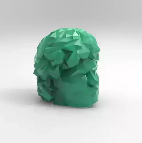 DIEGO ARMANDO MARADONA LOW POLY 3D print model