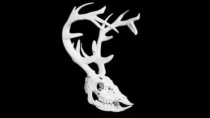 Deer skull Low-poly 3D model