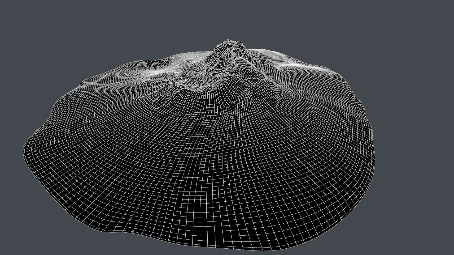 desert Low-poly 3D model_26