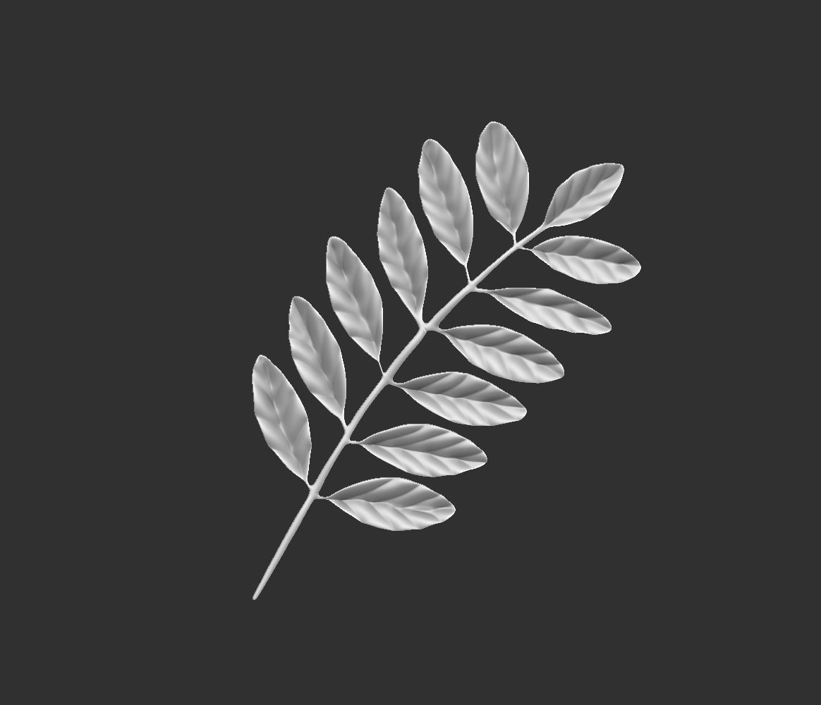 14 high-poly leafs and branches Zbrush IMM brush set 3D model_12