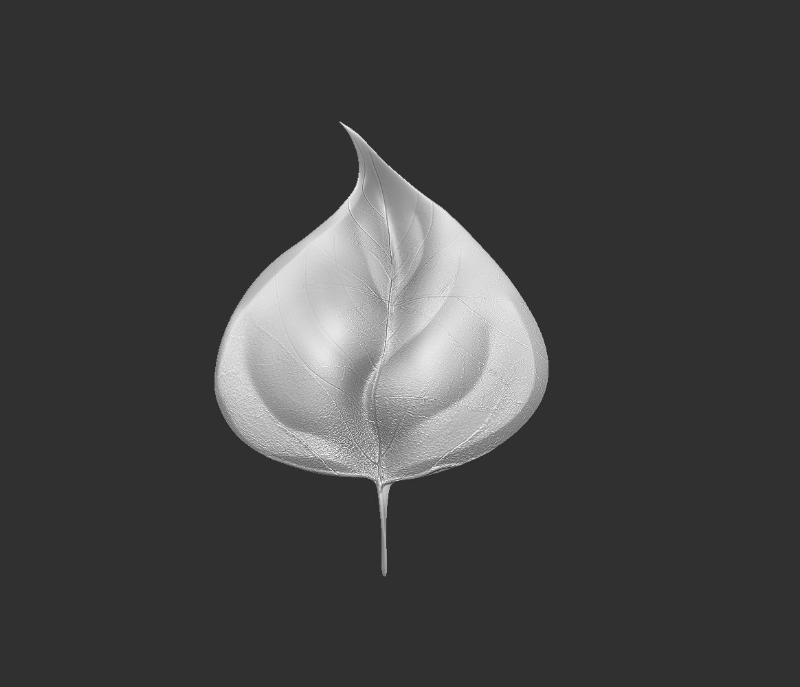 14 high-poly leafs and branches Zbrush IMM brush set 3D model_3