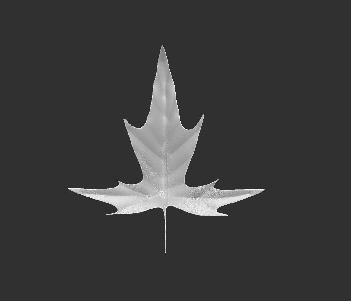 14 high-poly leafs and branches Zbrush IMM brush set 3D model_15