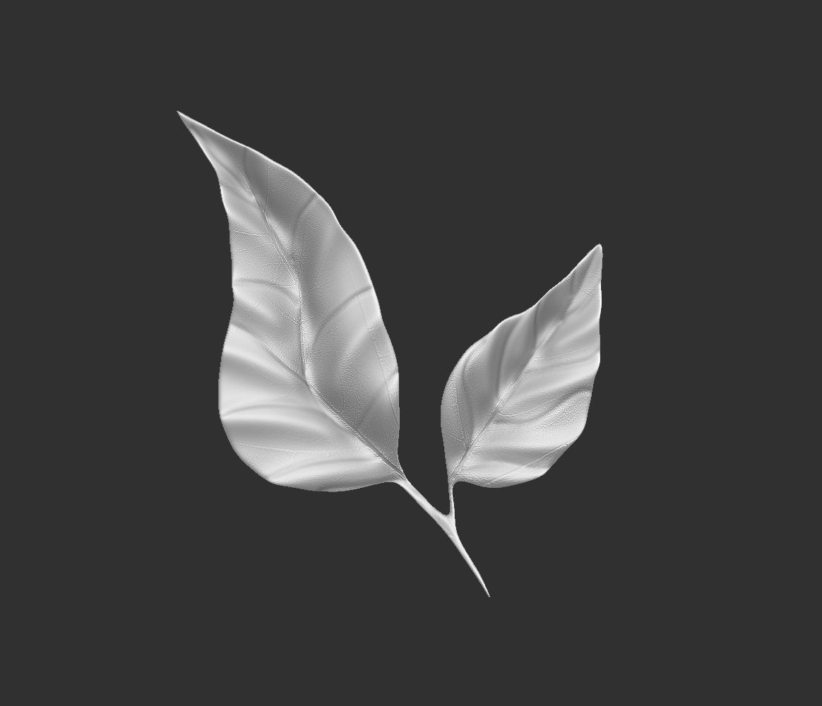 14 high-poly leafs and branches Zbrush IMM brush set 3D model_8