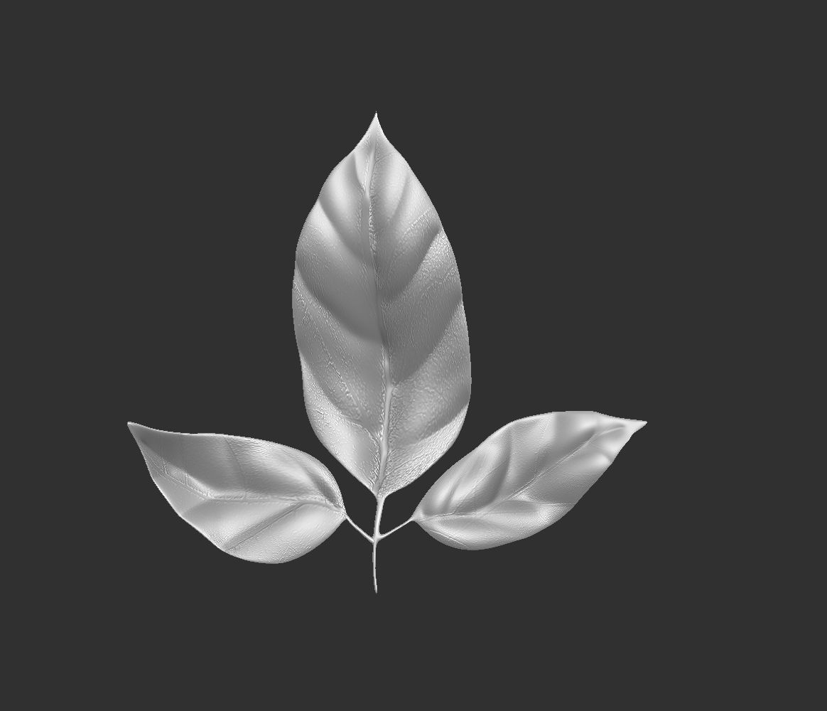 14 high-poly leafs and branches Zbrush IMM brush set 3D model_9