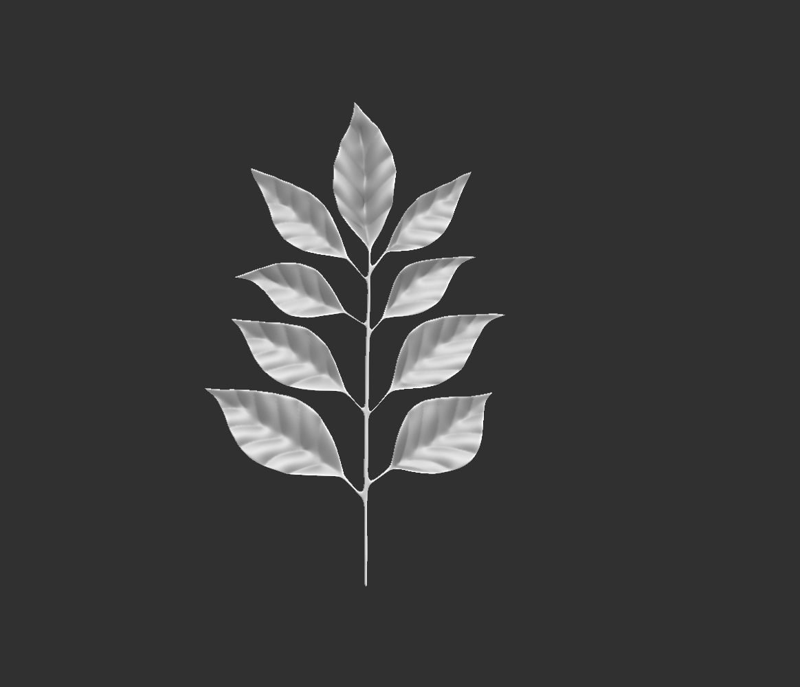 14 high-poly leafs and branches Zbrush IMM brush set 3D model_13