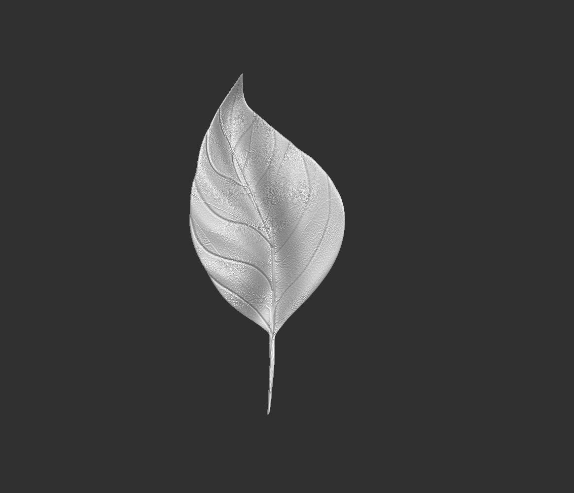 14 high-poly leafs and branches Zbrush IMM brush set 3D model_5