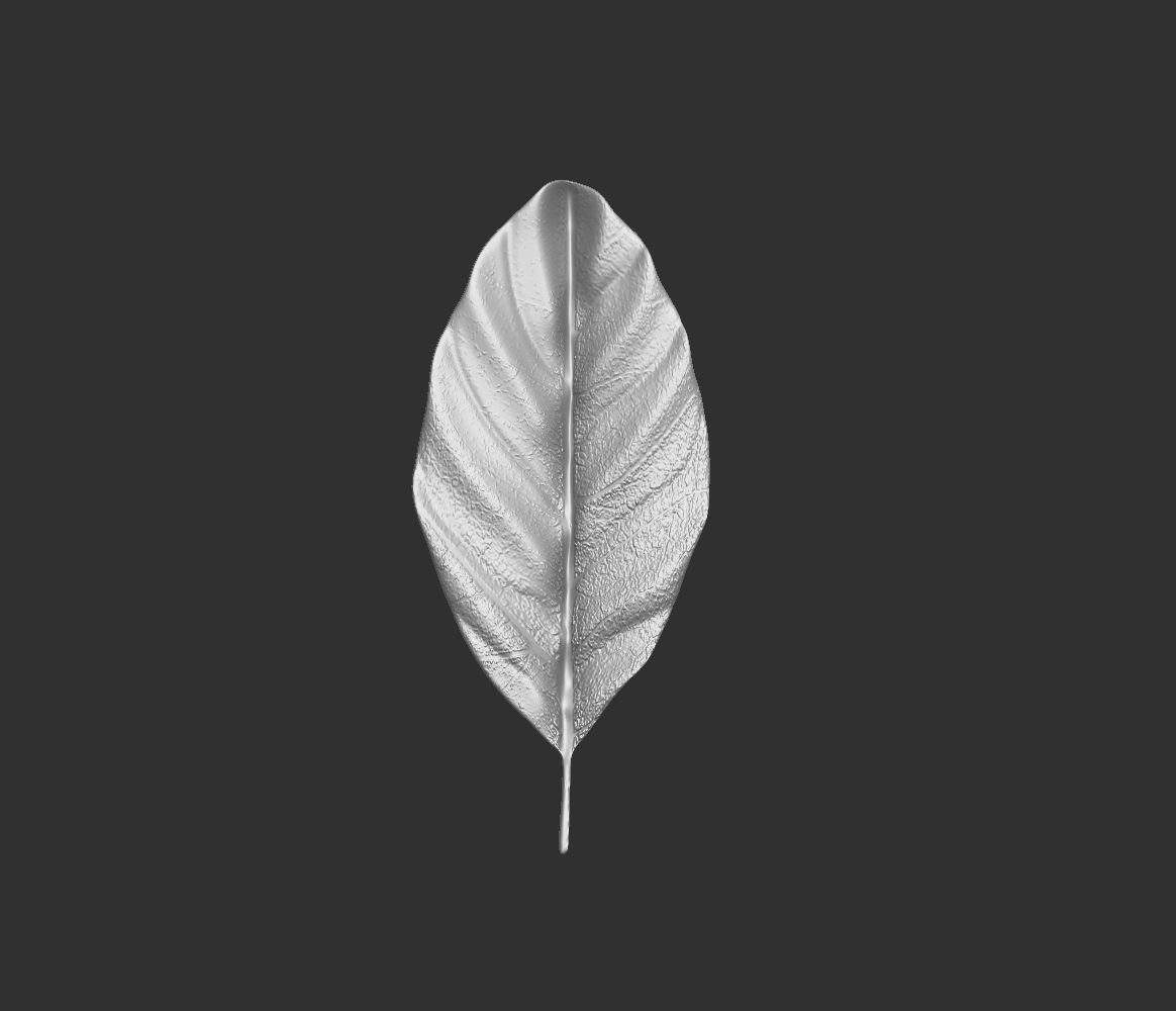 14 high-poly leafs and branches Zbrush IMM brush set 3D model_7
