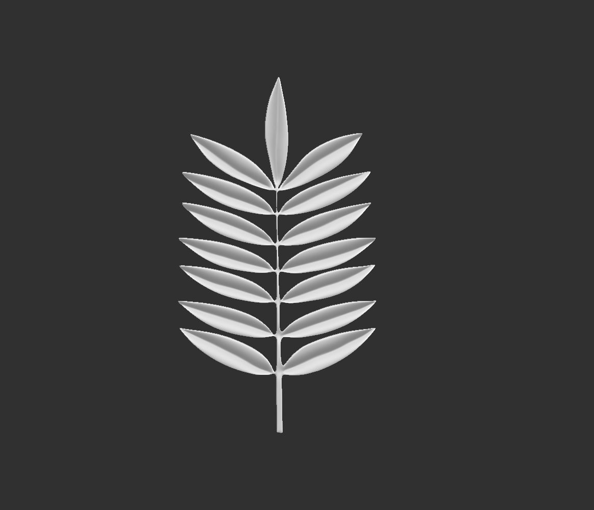 14 high-poly leafs and branches Zbrush IMM brush set 3D model_14