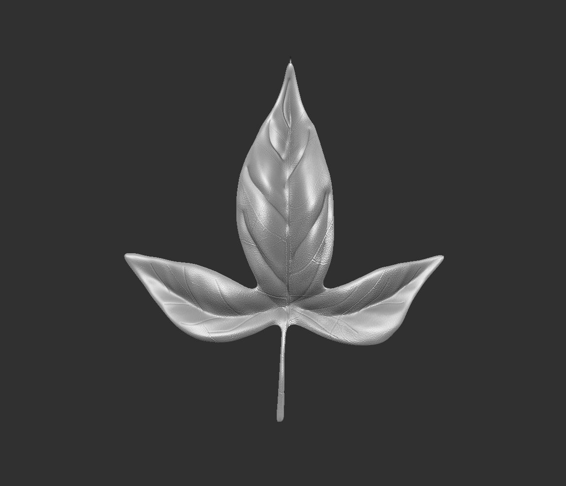 14 high-poly leafs and branches Zbrush IMM brush set 3D model_2