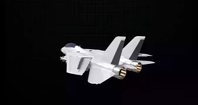 F14 Aircraft 3D model