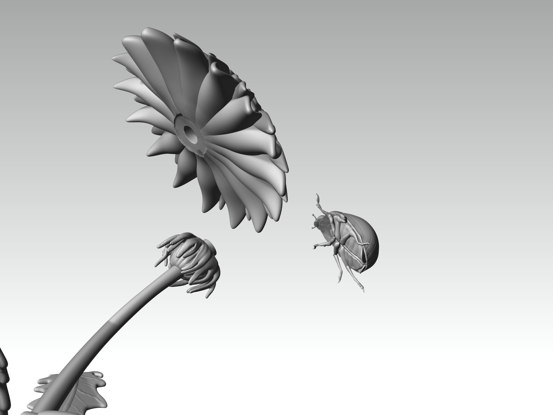 printready LADYBUG and FLOWER 3D print model_9