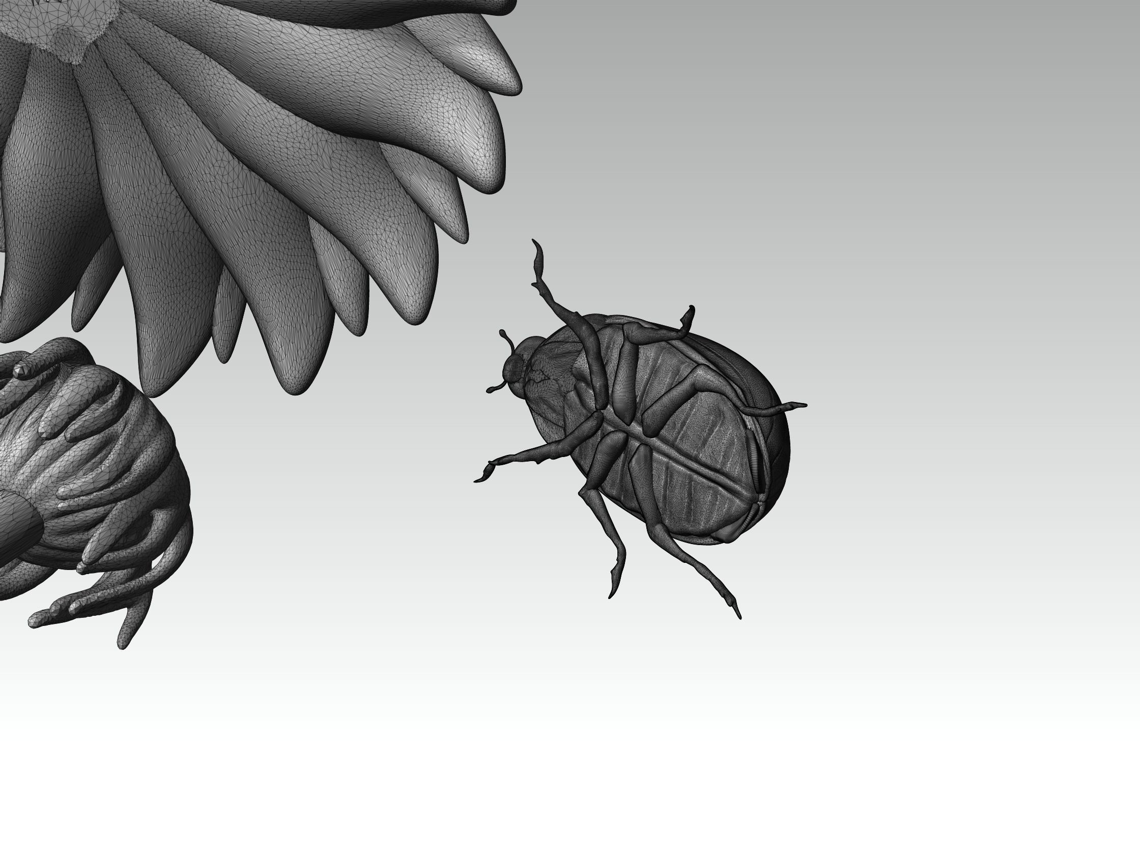 printready LADYBUG and FLOWER 3D print model_10